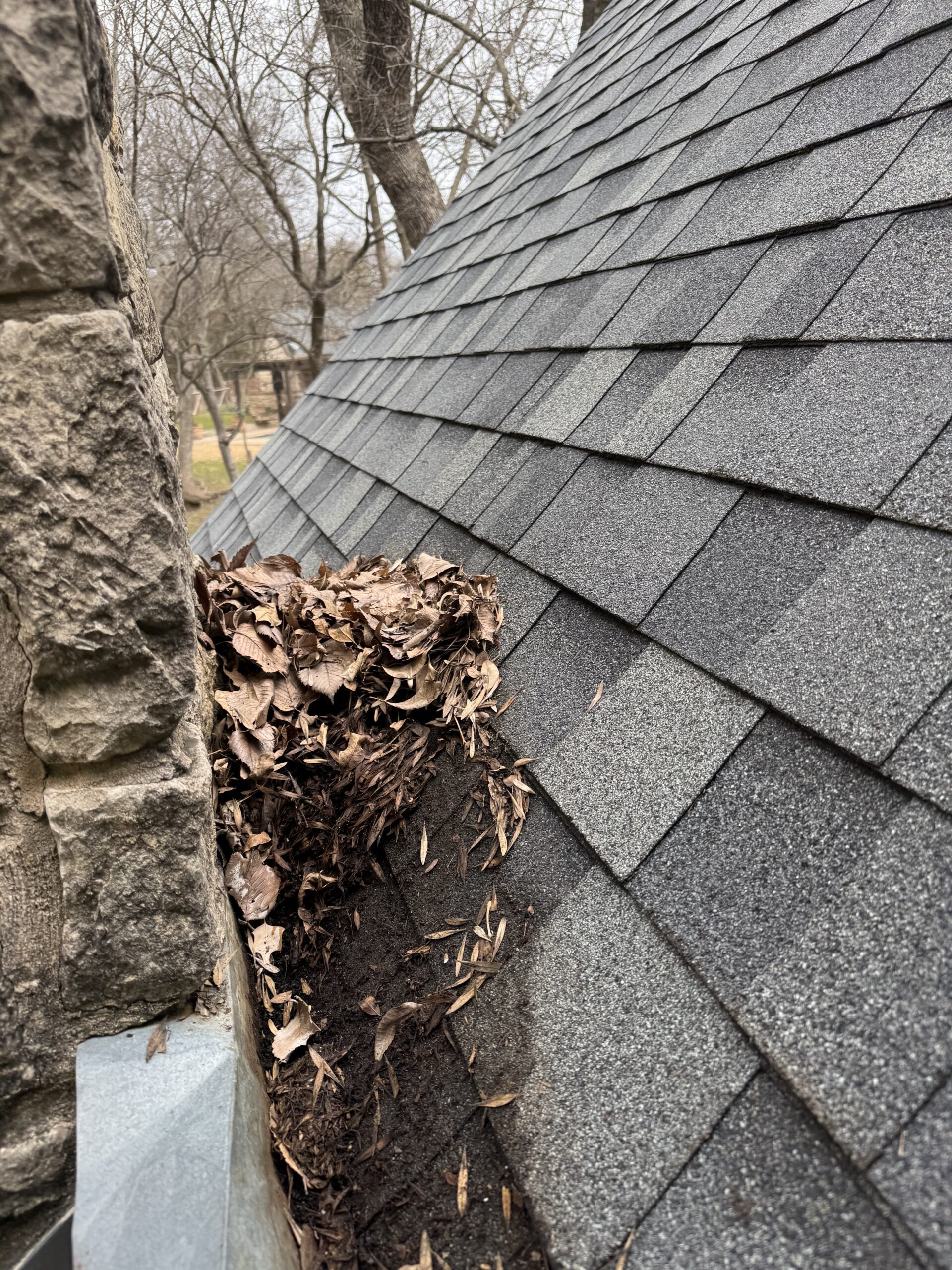 Gutter cleaning for North Texas homes.