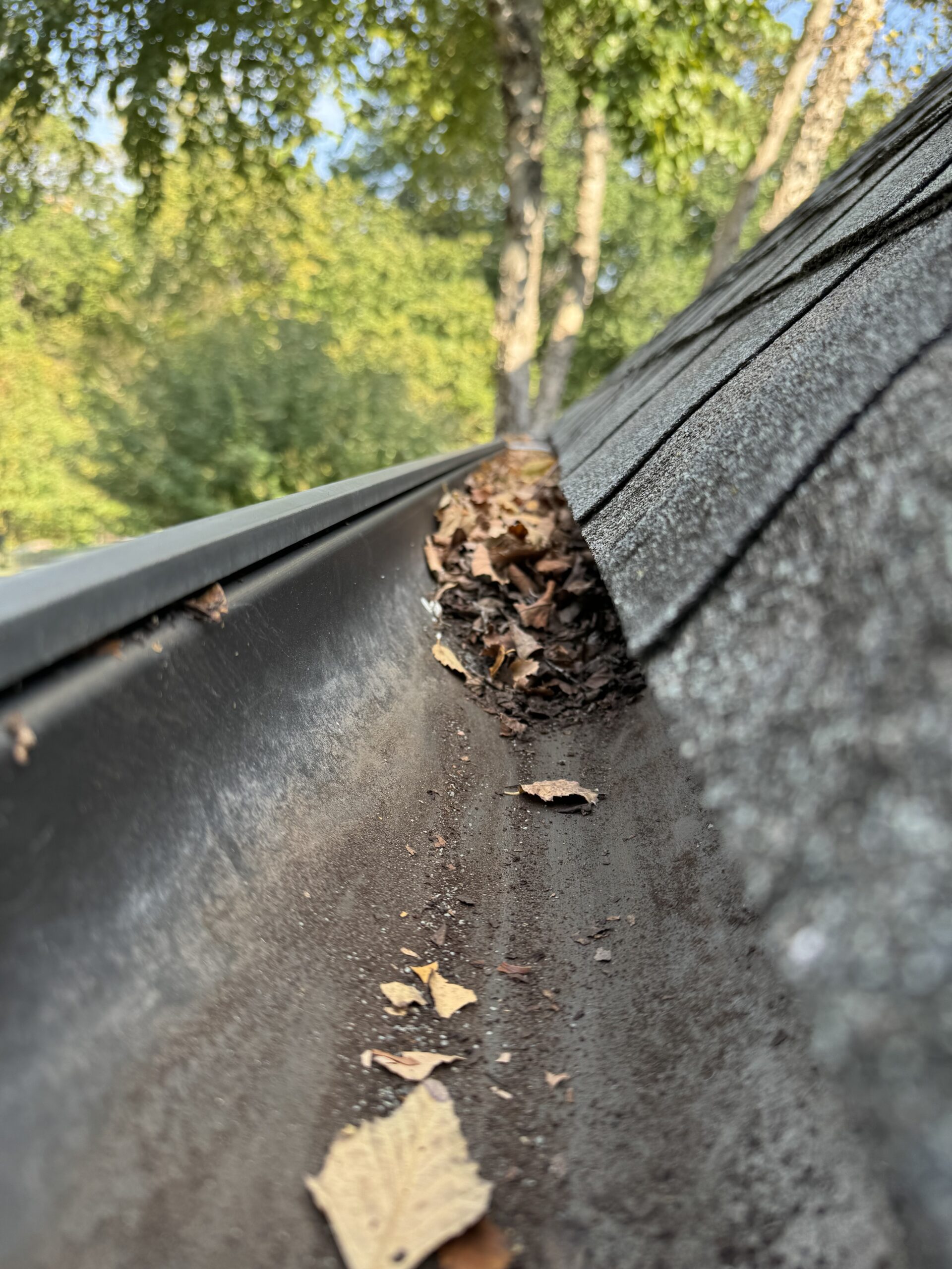 Gutter Cleaning Services