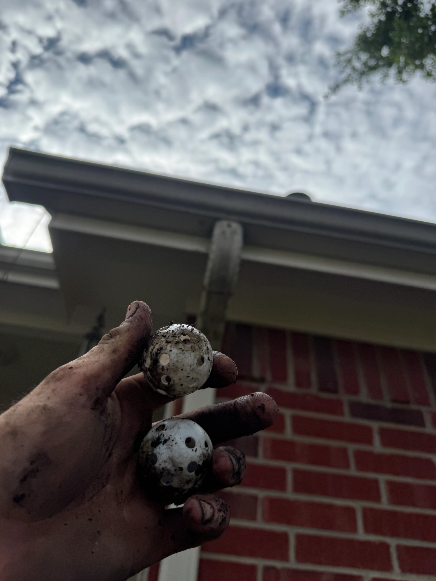 Signs your gutters need cleaning.